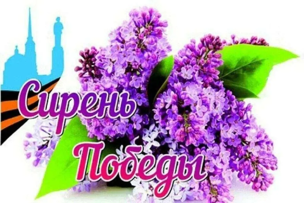 49927a36-3ccc-55b9-bbf8-37d29894d945