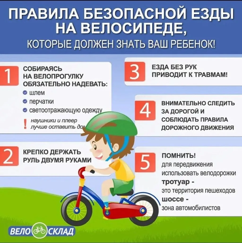 WhatsApp Image 2024-08-22 at 11.52.51