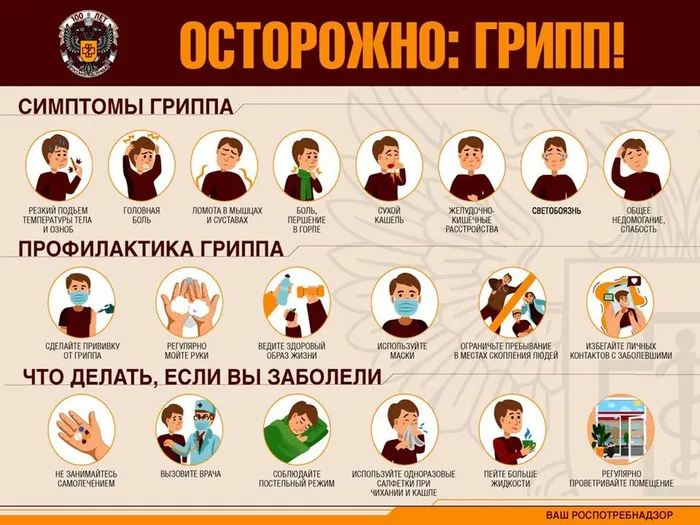Слайд1
